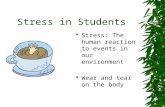 Stress in Students