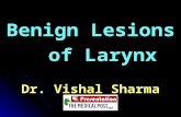 Benign Lesions   of Larynx