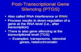 Post-Transcriptional Gene Silencing (PTGS)