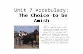 Unit 7 Vocabulary: The  Choice to be Amish