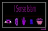 I Sense Islam