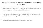 But what if there is a large amount of homoplasy in the data?