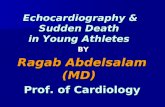 Echocardiography &  Sudden Death in Young Athletes BY  Ragab Abdelsalam (MD) Prof. of Cardiology