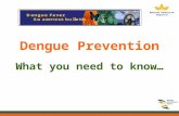 Dengue Prevention What you need to know…