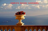 HAIFA’S  BAHAI  GARDENS