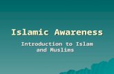 Islamic Awareness