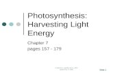 Photosynthesis: Harvesting Light Energy