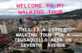 WELCOME TO MY WALKING TOUR