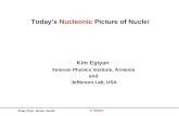 Today’s  Nucleonic  Picture of Nuclei