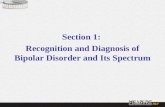 Section 1:  Recognition and Diagnosis of Bipolar Disorder and Its Spectrum
