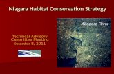 Niagara Habitat Conservation Strategy