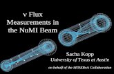n  Flux Measurements in the NuMI Beam