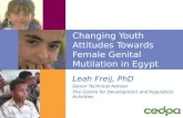Changing Youth Attitudes Towards Female Genital Mutilation in Egypt