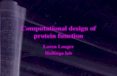 Computational design of protein function