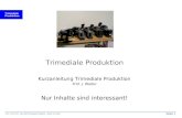 Trimediale Produktion