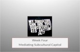Week Four Mediating  Subcultural  Capital