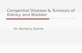 Congenital Disease & Tumours of Kidney and Bladder