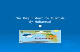 The Day I Went to Florida By  Muhammad