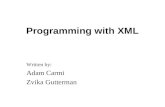 Programming with XML