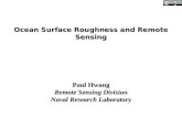 Ocean Surface Roughness and Remote Sensing