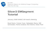 Slicer3 EMSegment Tutorial