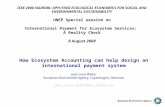 How Ecosystem Accounting can help design an international payment system Jean-Louis Weber