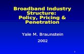 Broadband Industry Structure:  Policy, Pricing & Penetration