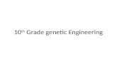 10 th  Grade genetic Engineering