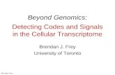 Beyond Genomics: Detecting Codes and Signals in the Cellular Transcriptome