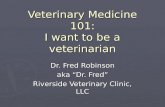 Veterinary Medicine 101: I want to be a veterinarian