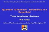 Workshop on Many-body theory of inhomogeneous superfluids,  Pisa, July 2007