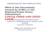 What is the Uncertainty Caused by IC/BCs in the Regional/Urban Ozone Simulations?