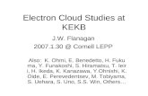 Electron Cloud Studies at KEKB