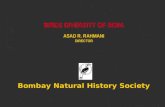 BIRDS DIVERSITY OF INDIA ASAD R. RAHMANI DIRECTOR