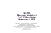 125:583 Molecular Modeling I Prof. William Welsh November 2, 2006