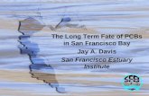 The Long Term Fate of PCBs in San Francisco Bay Jay A. Davis San Francisco Estuary Institute