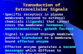 Transduction of Extracellular Signals