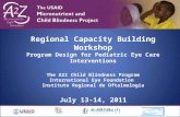 Regional Capacity Building Workshop Program Design for Pediatric Eye Care Interventions