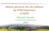 Hadron Spectra in Au+Au Collisions  by STAR Experiment  at RHIC
