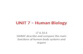 UNIT 7 – Human Biology