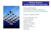 Fishing Bosons  in the depths of Fermi Sea
