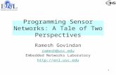 Programming Sensor Networks: A Tale of Two Perspectives