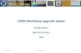 CERN Workshop  upgrade status Rui  De Oliveira RD51 22/11/2011  WG6