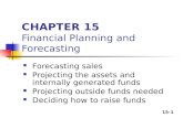CHAPTER 15 Financial Planning and Forecasting