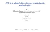 CCE in irradiated silicon detectors considering the avalanche effect