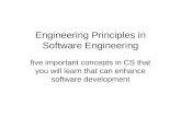 Engineering Principles in Software Engineering