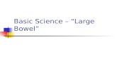 Basic Science – “Large Bowel”
