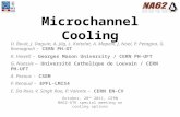 Microchannel Cooling