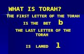 WHAT IS TORAH?