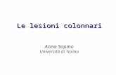 Le lesioni colonnari Anna Sapino Università di Torino